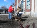 Paul D's Eagle Project 060